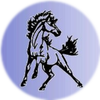 Small_1533825402-charger_horse