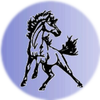 Small_charger_horse