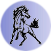 Small_1547046213-charger_horse